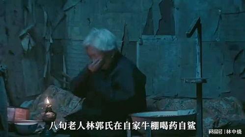 国产家庭伦理电影 第3张 国产家庭伦理电影 第3张